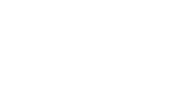 MN PERÚ FOODS